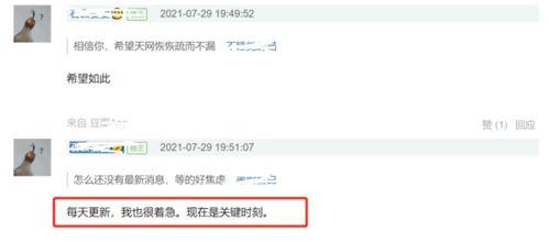 怎么爆料新闻到网上的事情,如何高效传播社会热点